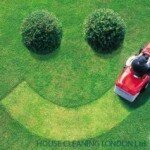 Efficient tips for fixing 8 common lawn issues