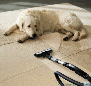 Professional Carpet Cleaning Services